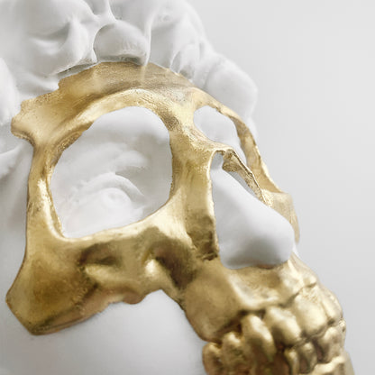 MICHELANGELO ECLIPSE WHITE GOLD